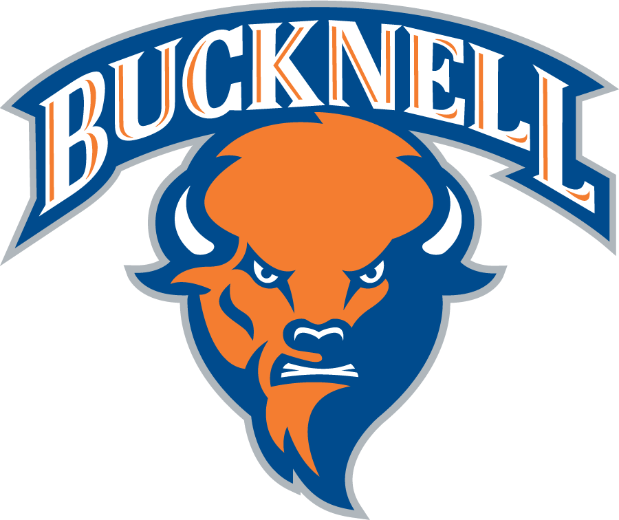 Bucknell Bison 2008-2011 Alternate Logo diy iron on heat transfer
